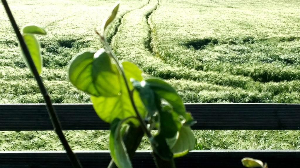 Saint-Pierre-la-Garenne Gite Labradors De Bailly - Giverny מראה חיצוני תמונה